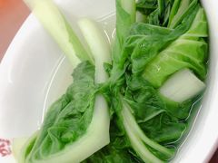 青菜-面爸爸豆瓣抄手(贝森旗舰店)