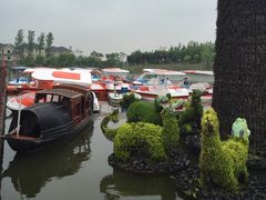 -杭州湾海上花田景区