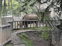 -石家庄市动物园