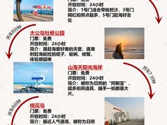 -日照海滨国家森林公园