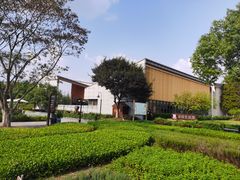 -田园东方蜜桃村的田野营地
