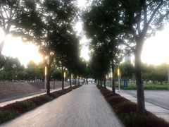 -上海山野camping·户外天幕烧烤·团建拓展营地