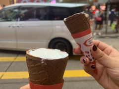 -富豪雪糕车流动点(尖沙咀店)