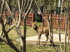 -上海交通大学(闵行校区)