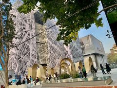 -三里屯东五街银杏大道