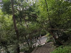 -北极阁公园