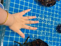 -双合园·海鲜水饺青岛菜(九水东路店)