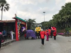 -东芭乐园