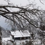 偶遇武当山雪景