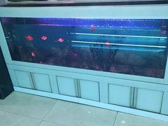 -绿树电竞(五路店)