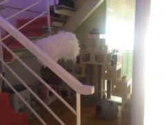 -炼呗运动康复·健身工作室(紫竹桥店)