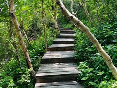 -白草畔自然风景区