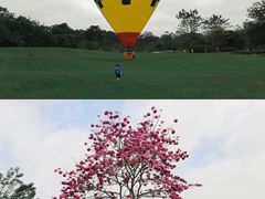 -中国科学院西双版纳热带植物园