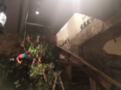 -老牌坊云南鱼豆花火锅(嵩山店)