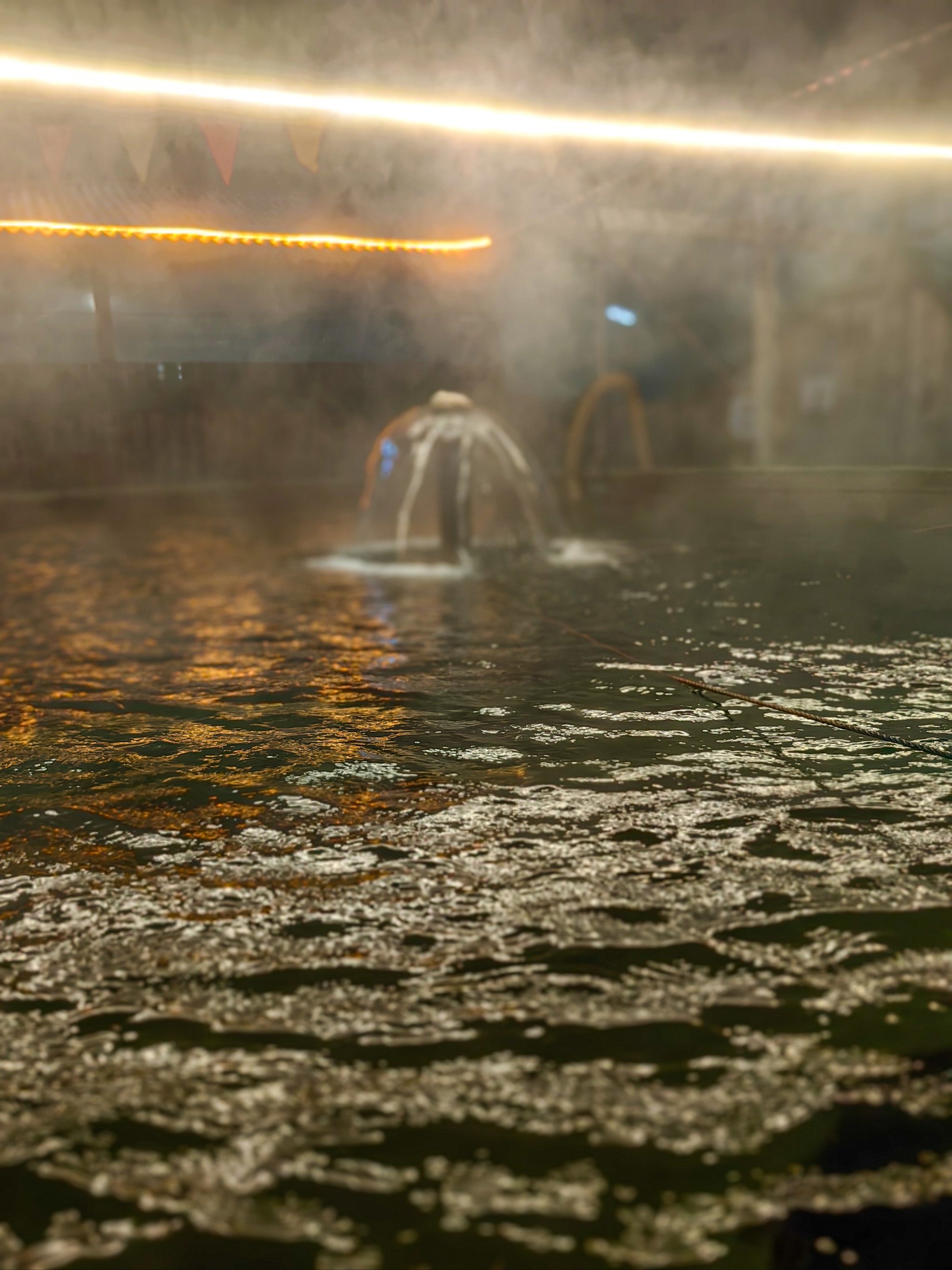 古代传说七仙女在此时洗澡哦!