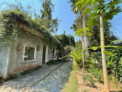 -中国科学院西双版纳热带植物园