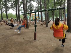 -东方巨龟苑景区