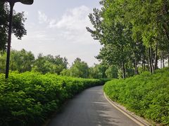 -西安浐灞国家湿地公园