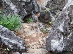 -千岛湖石林