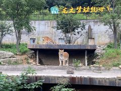 -太湖龙之梦