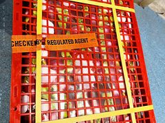 -堤口果品批发市场