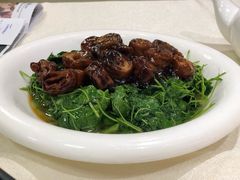 -阿莉餐厅(枣阳路店)