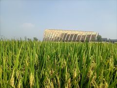 -中国天府农业博览园