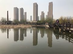 -前关湿地公园