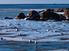 -老虎石海上公园