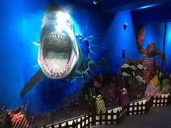 -船奇蒸汽海鲜·闽菜(八市海鲜总店)