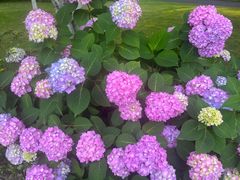 -浙江西子宾馆·瑶园咖啡厅