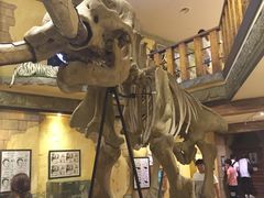 -信不信由你博物馆