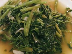 -杨氏青龙虾·羊蝎子(珠江路店)