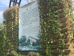 -金山农民画村-枫泾波兰倒置屋
