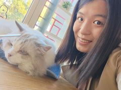 -猫小院猫主题餐厅(南锣旗舰店)