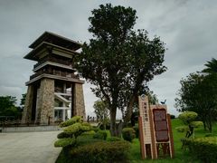 -大湾区中央湿地公园