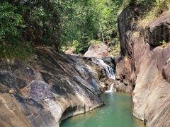 -广州白江湖森林公园