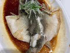 -紫光园·烤鸭·北京菜(劲松店)