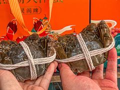 -阳澄湖大闸蟹·琼灵阁牌品牌连锁(吴中总店)