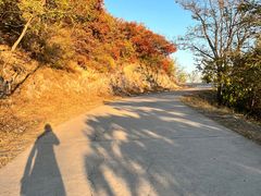 -北京西山国家森林公园