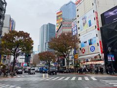 -涩谷区
