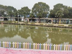 -苏州太湖西山岛开心农场