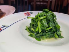 清炒豌豆尖儿-晟永興烤鸭店(五道口店)