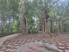 -中国科学院西双版纳热带植物园