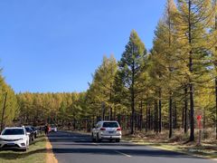 -塞罕坝国家级自然保护区