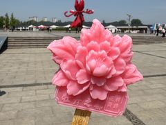 -曹州牡丹园