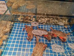 -闽海肴(北辰荟店)