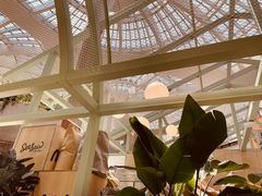 -Seesaw Coffee(上海太阳宫K46店)