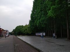 -同济大学(沪西校区)