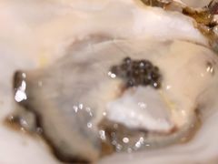 -風料理.鮨Omakase